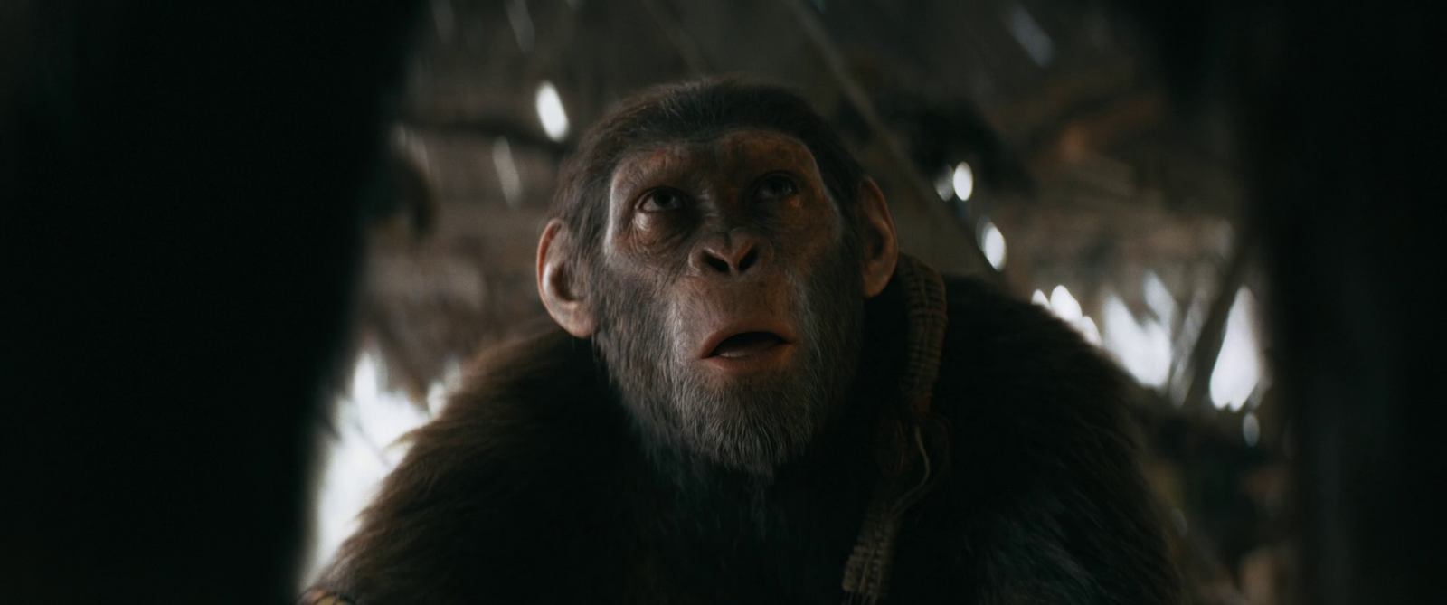 Kingdom of the Planet of the Apes